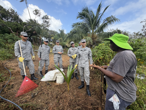 Nuevo proyecto busca revitalizar la tradición cocotera en San Andrés