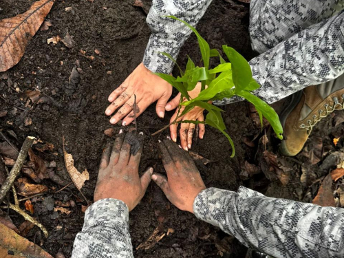 Puerto Salgar, Cundinamarca reverdece con siembra de 200 árboles y compromiso ambiental