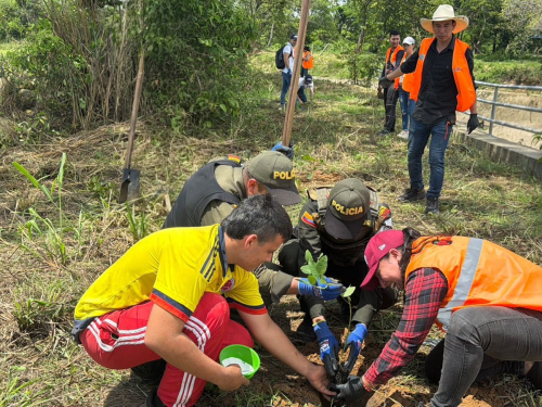 Siembra de 300 árboles fortalece acciones ambientales en Aguazul