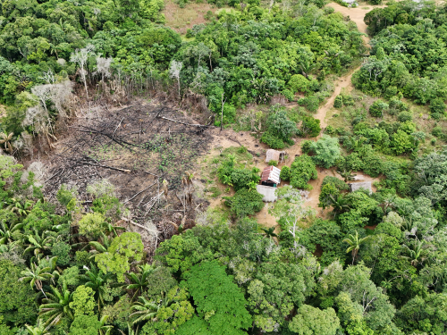 Presuntos delitos ambientales evidenciados en área protegida del Parque Nacional El Tuparro