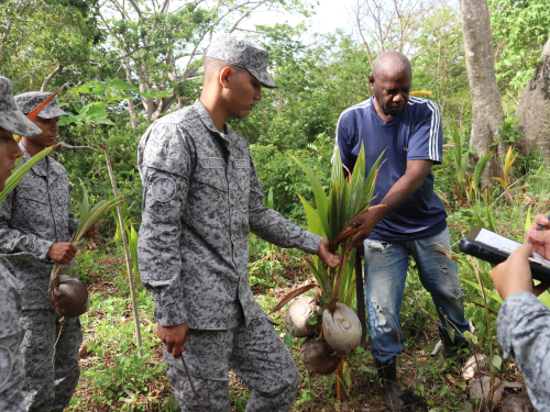 Continúa apoyo a proyecto social productivo cocotero en San Andrés