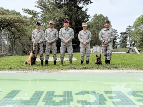 Bienestar integral: el cuidado que fortalece a los caninos militares