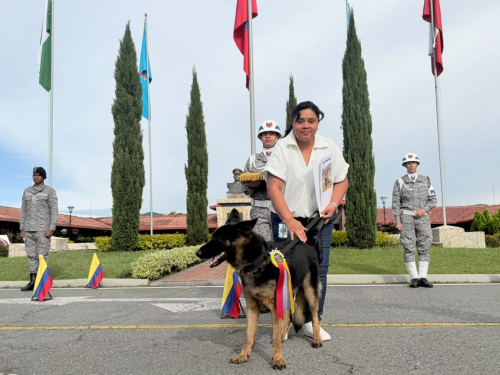 Dimatea, heroína de cuatro patas, inicia su retiro tras servir a Colombia