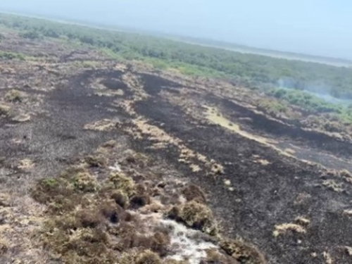 Apoyada desde el aire la atención de la emergencia en la Vía Parque Isla Salamanca
