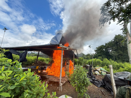 Inhabilitadas 52 infraestructuras clandestinas utilizadas para procesar pasta base de coca en Tumaco, Nariño