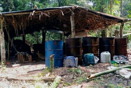Reducción del narcotráfico en Vichada: dos laboratorios de pasta base de coca fueron neutralizados