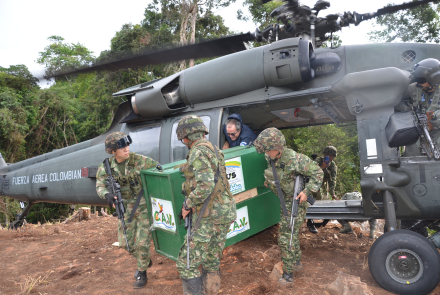 Pumas vuelven a la libertad Fuerza Aérea Colombiana protege la Biodiversidad