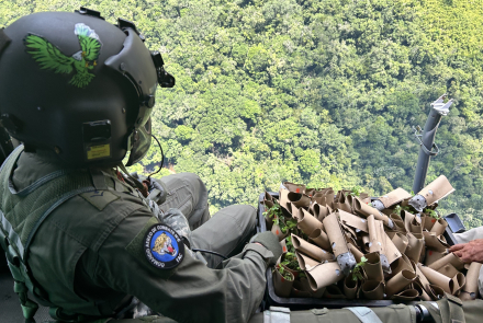 Reforestación aérea: Una esperanza para la recuperación de  la Amazonía colombiana 