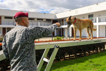 Leales y precisos binomios caninos culminan entrenamiento especializado en seguridad