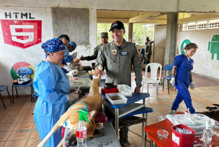 Jornada de esterilización fortalece bienestar animal en Tarapacá
