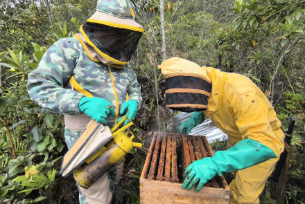 El sabor de las segundas oportunidades florece en Casanare
