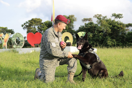  Guías caninos, un equipo estratégico para la seguridad y protección del territorio nacional