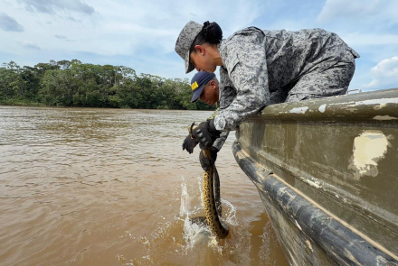 Reubicación de anaconda refuerza compromiso ambiental en el Caquetá