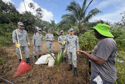 Nuevo proyecto busca revitalizar la tradición cocotera en San Andrés
