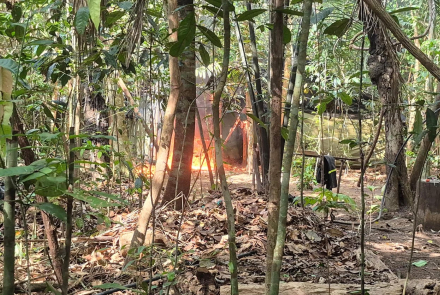 Millonaria afectación a las finanzas del ELN en el Oriente del país