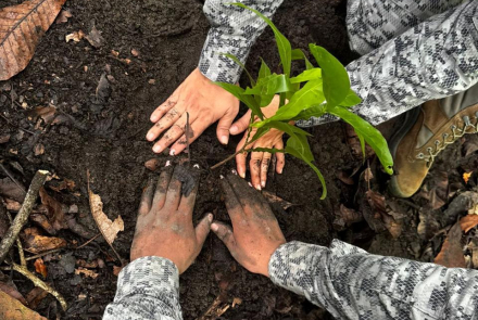 Puerto Salgar, Cundinamarca reverdece con siembra de 200 árboles y compromiso ambiental