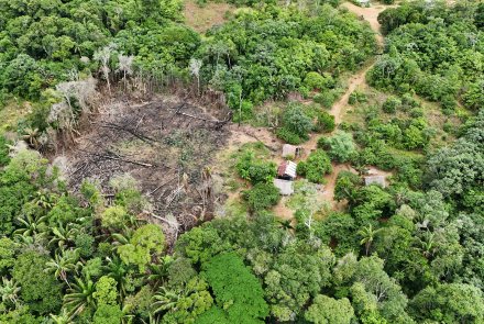 Presuntos delitos ambientales evidenciados en área protegida del Parque Nacional El Tuparro