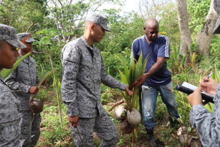 Continúa apoyo a proyecto social productivo cocotero en San Andrés