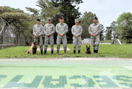 Bienestar integral: El cuidado que fortalece a los caninos militares
