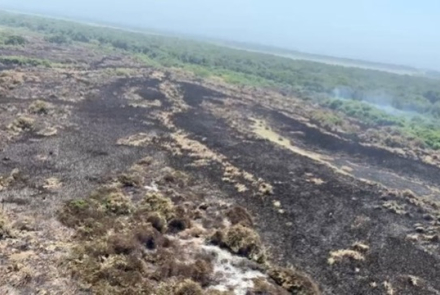 Apoyada desde el aire la atención de la emergencia en la Vía Parque Isla Salamanca