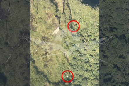 Activados protocolos de búsqueda y salvamento de la aeronave Cessna T-206