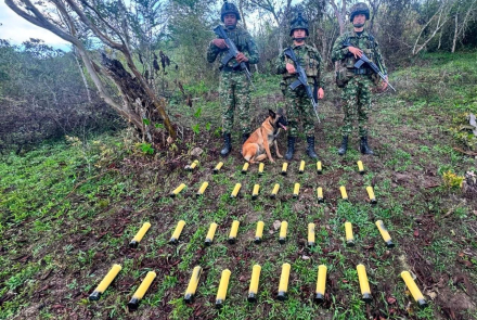 Neutralizada amenaza explosiva contra la Fuerza Pública en Nariño 