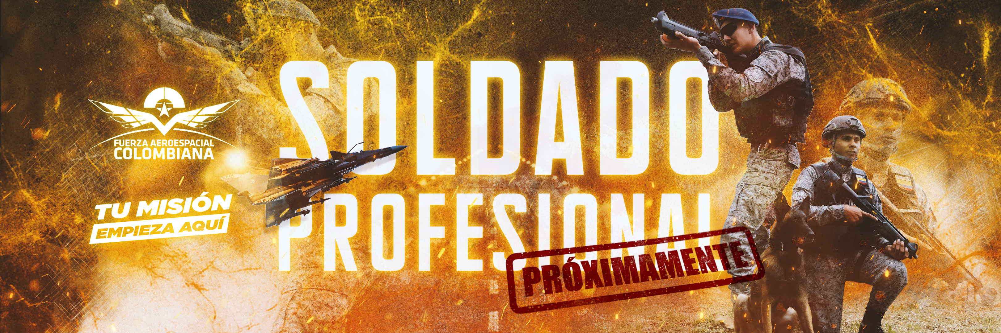 Incorporacion Soldado Profesional